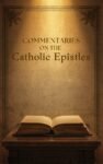 Commentaries on the Catholic Epistles by John Calvin