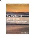 The Method of Grace in the Gospel Redemption by John Flavel